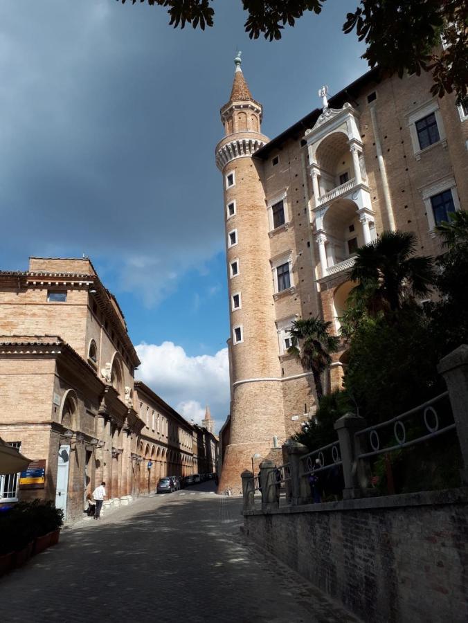 Green B&B Urbino Cá del vento Exterior foto